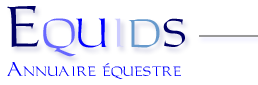 Equids